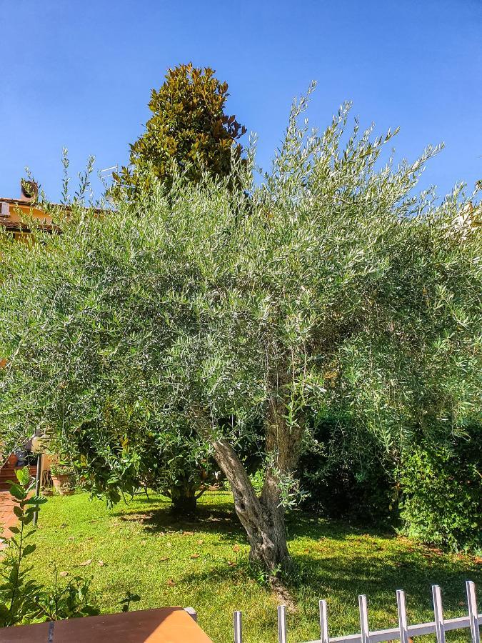 Villa Elsa, Cesena Zona Ippodromo المظهر الخارجي الصورة