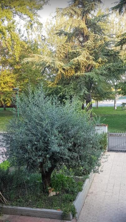 Villa Elsa, Cesena Zona Ippodromo المظهر الخارجي الصورة